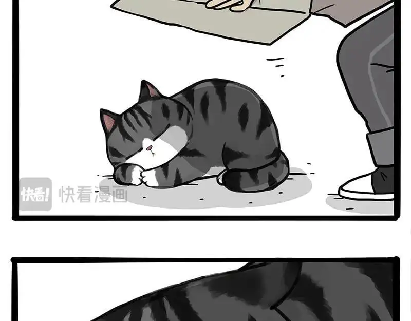 第404话 寻家计划1：啸天153
