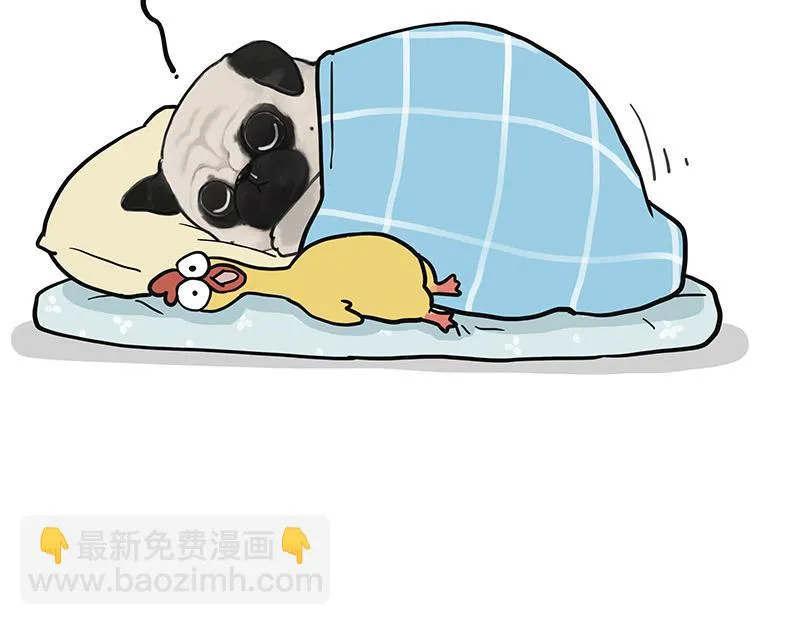 第377话 谢谢小猫咪38