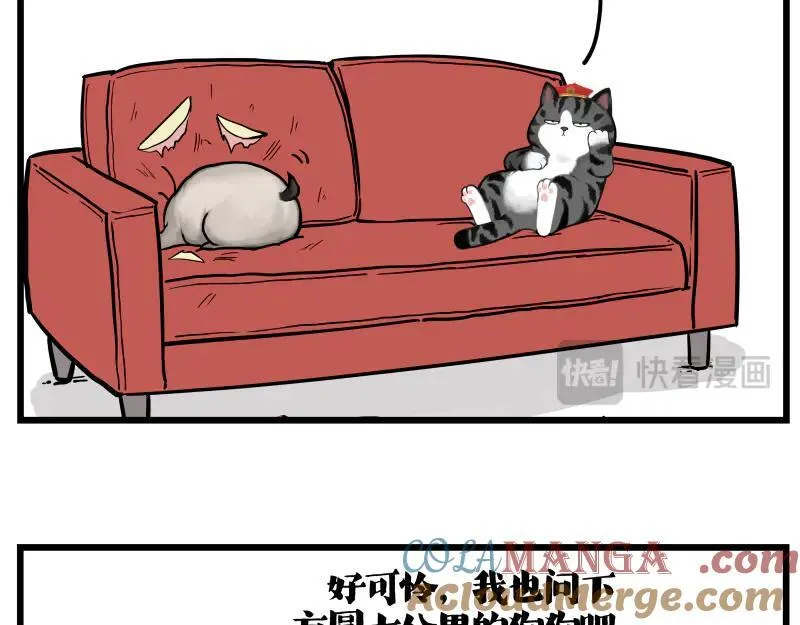 第423话 卡沙不拦卡12