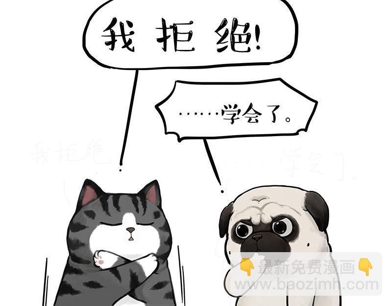 第367话 都不是事儿38