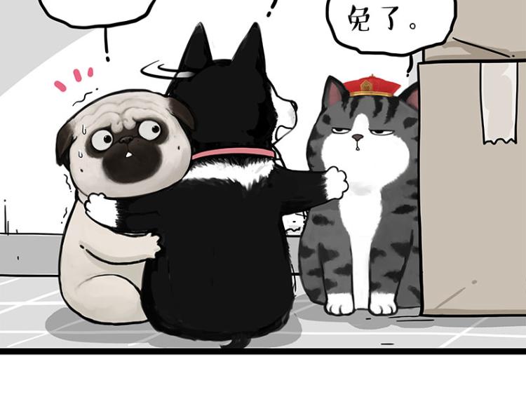 第288话 冒牌货，拿来吧你！14
