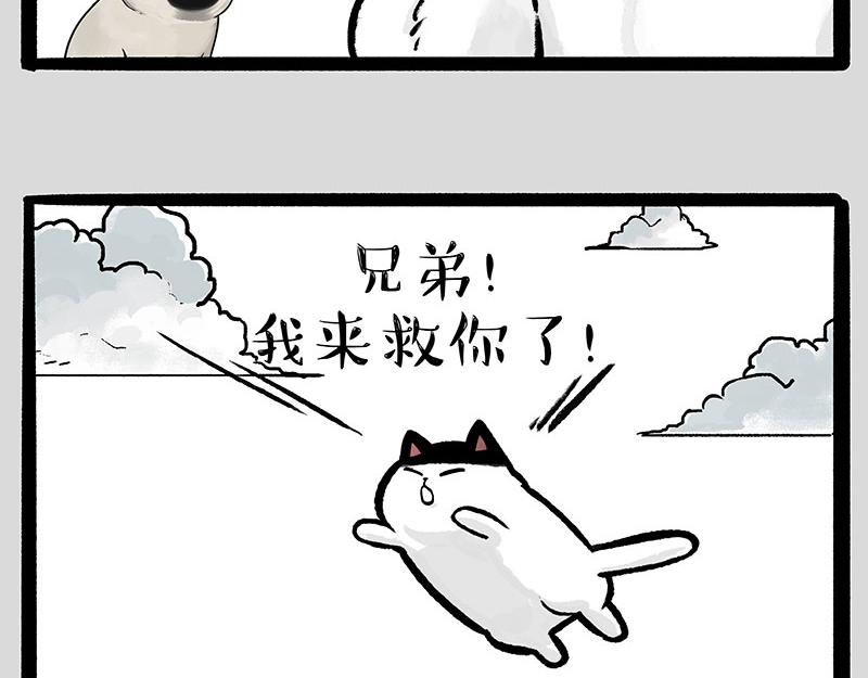第331话 猫王争霸之“杀青”59