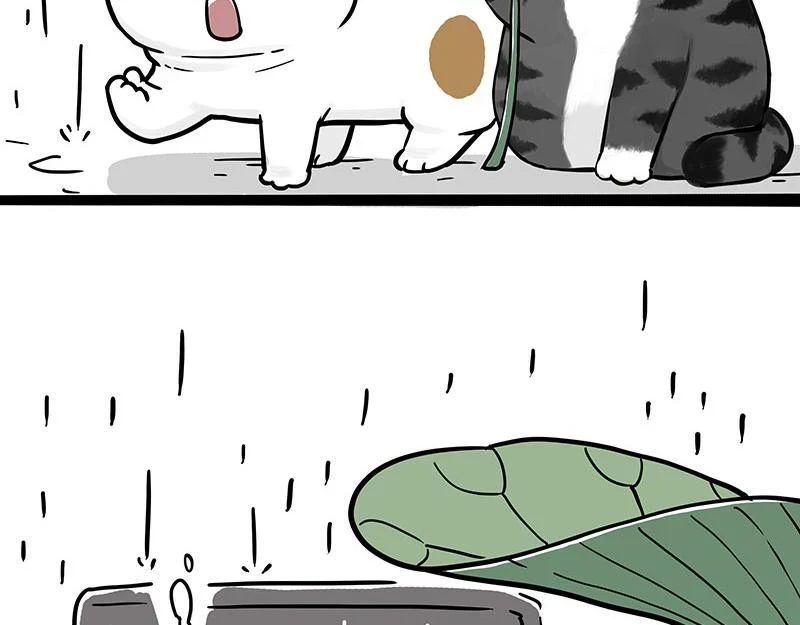 第364话 万一呢？40