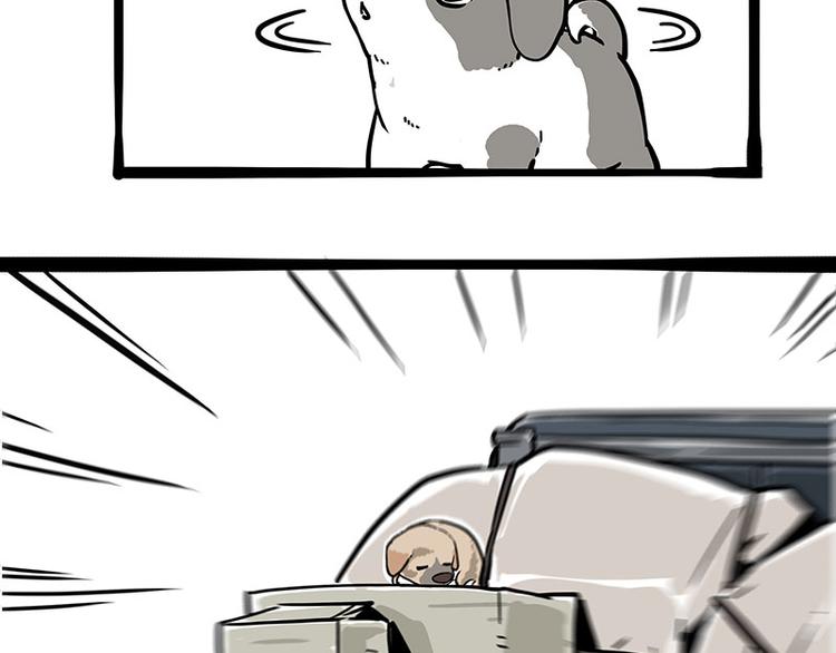 第271话 进击的流浪猫！25