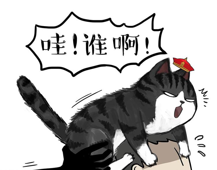 第244话 好家伙，黑衣人？15