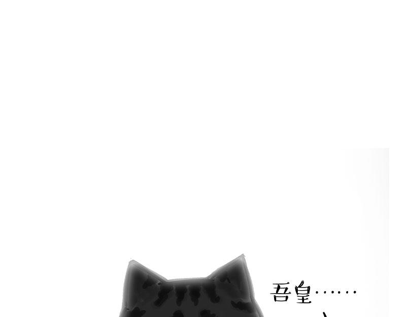 第349话 养只猫吧11