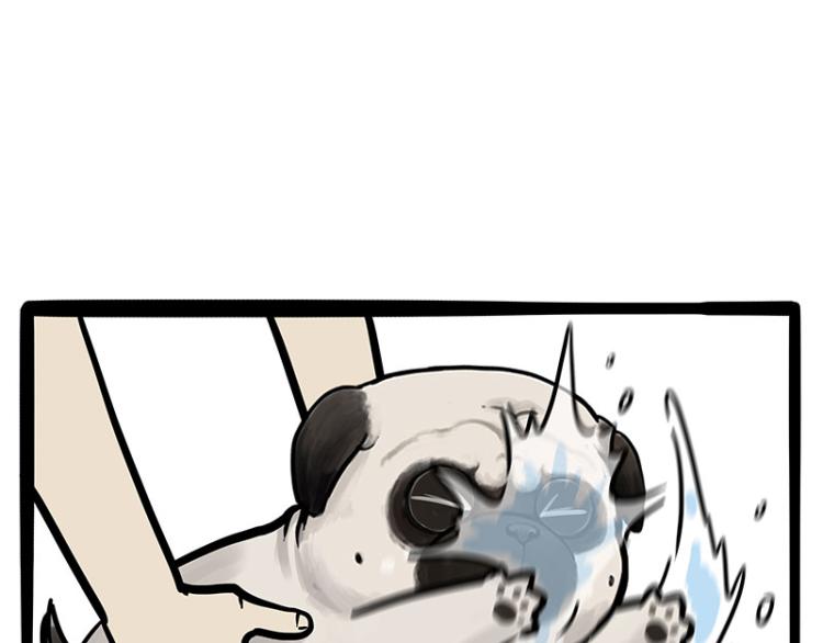 第294话 教狗游泳难度爆棚6