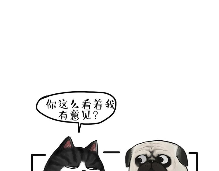 第54话 太受关注也不是好事27