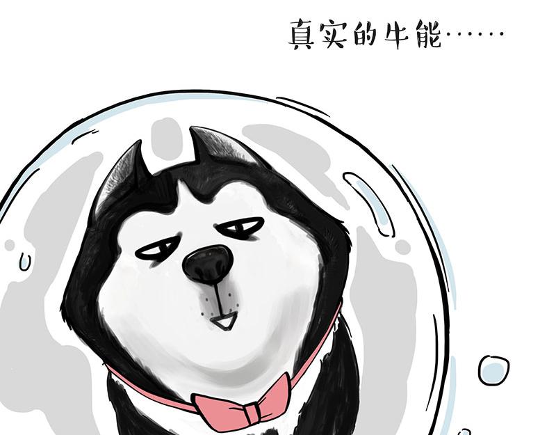 第313话 打工真谛19