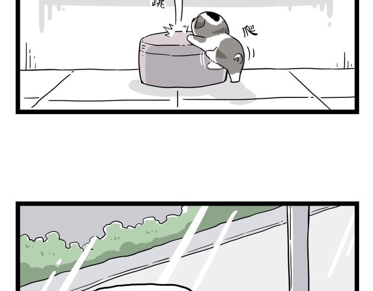 第267话 不让你流浪54