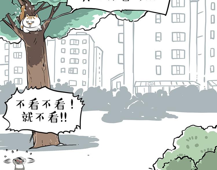 第270话 胖老猫你个大骗子！53