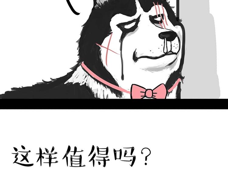 第160话 最差的一届哈士奇！56