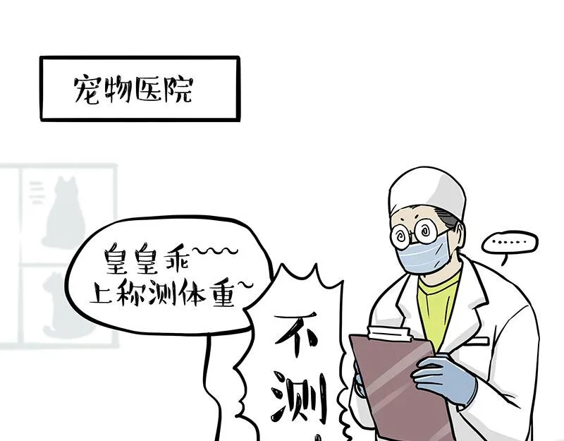 第377话 谢谢小猫咪29