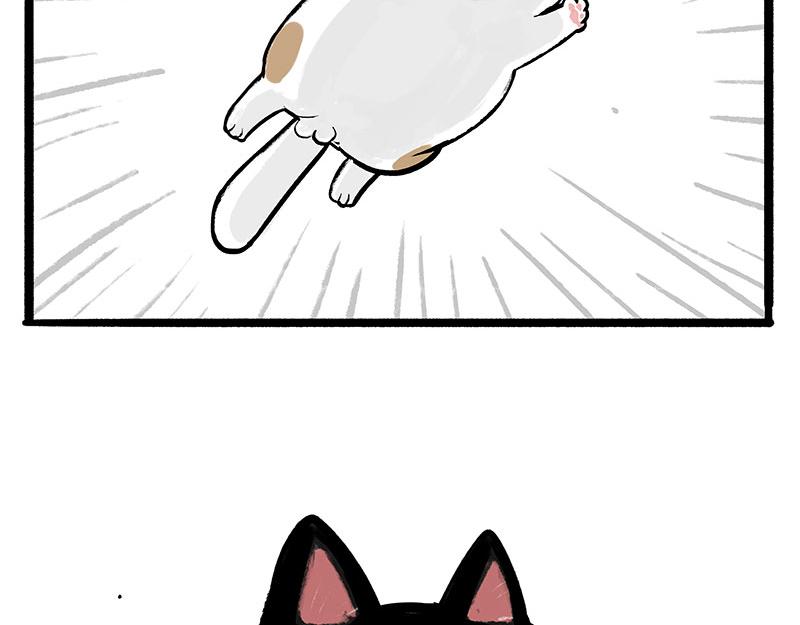 第331话 猫王争霸之“杀青”24