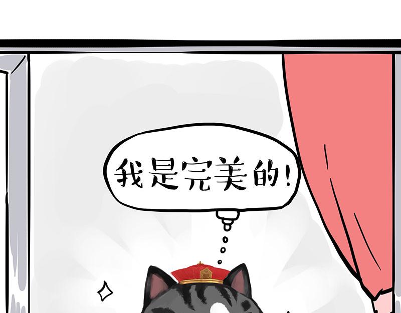 第343话 喵生哲学9