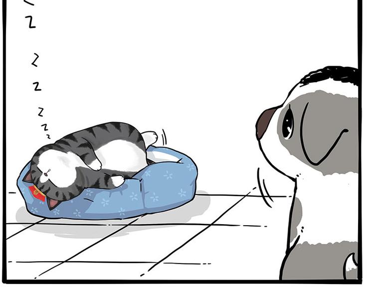 第270话 胖老猫你个大骗子！2