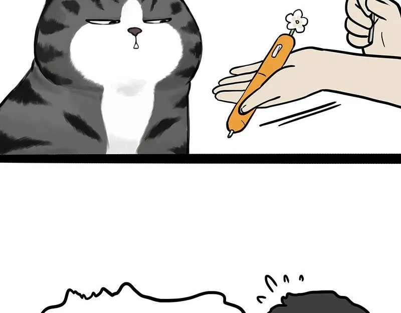 第377话 谢谢小猫咪11