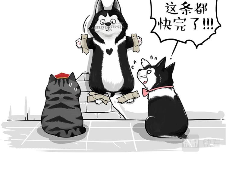 第288话 冒牌货，拿来吧你！69