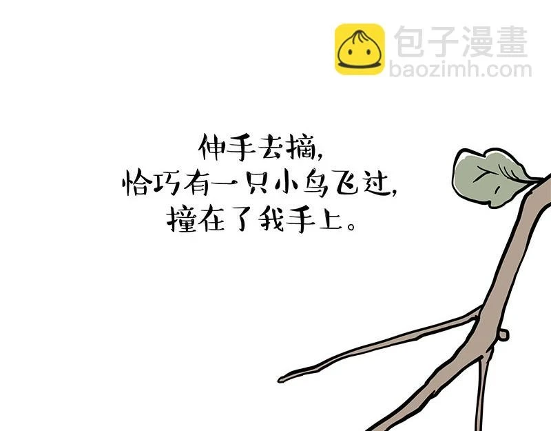 第365话 “神犬”巴扎黑5