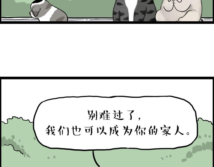 第267话 不让你流浪83