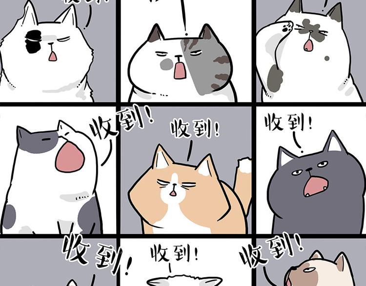 第271话 进击的流浪猫！14