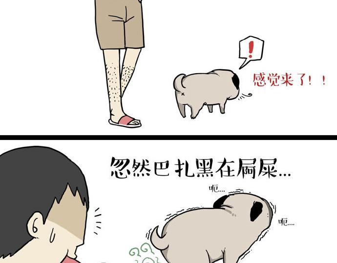 第29话 就算高考也要铲屎9