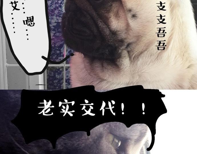 第26话 犯错你会卖萌求原谅吗22
