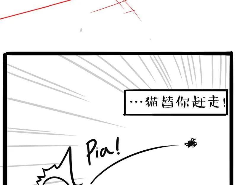 第384话 猫猫代打13