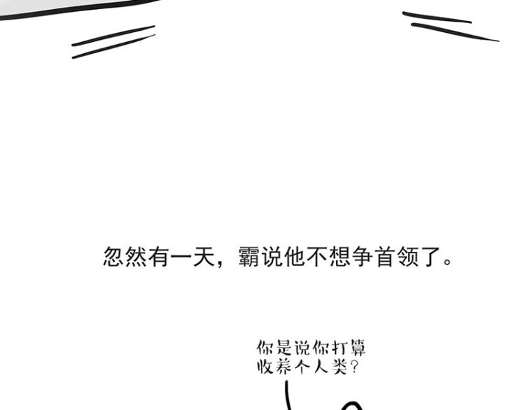 第291话 好兄弟，一辈子14