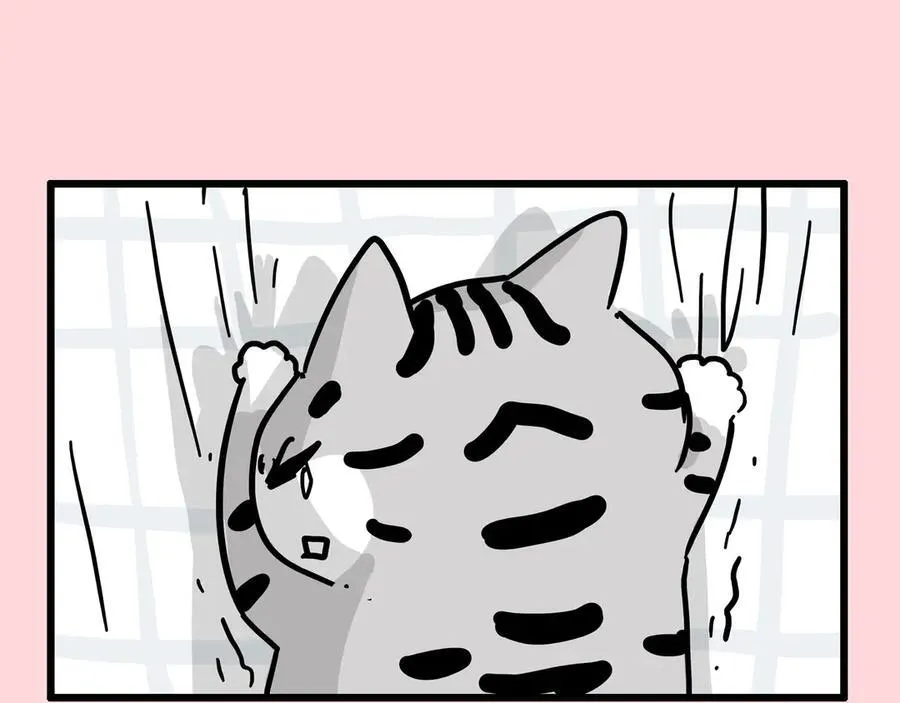 第414话 占领地球计划38