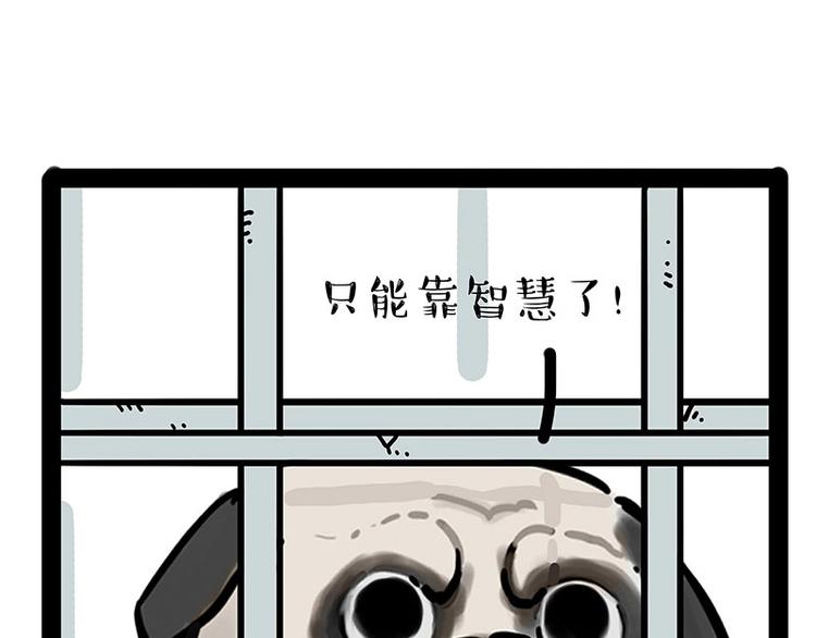 第176话 不要打扰我追求自由42