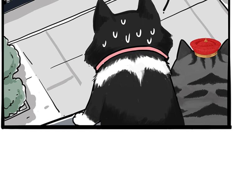 第289话 吹牛狗真牛49