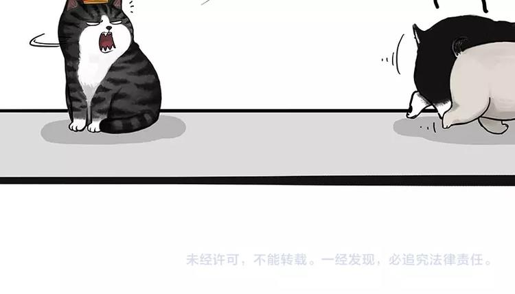 第175话 狗中王者60