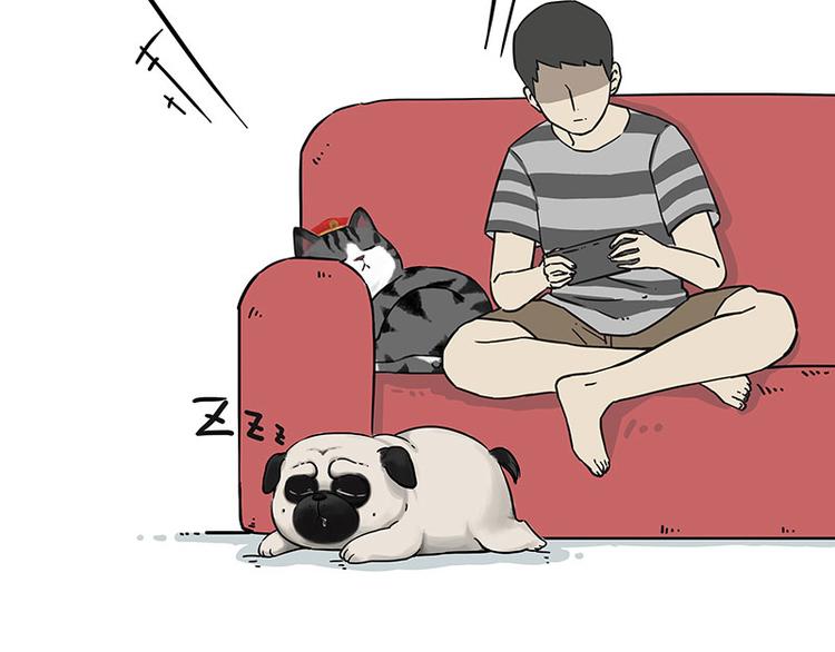 第210话 巴扎黑是最委屈的狗2