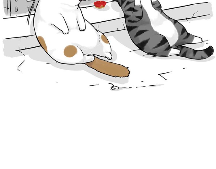 第291话 好兄弟，一辈子84
