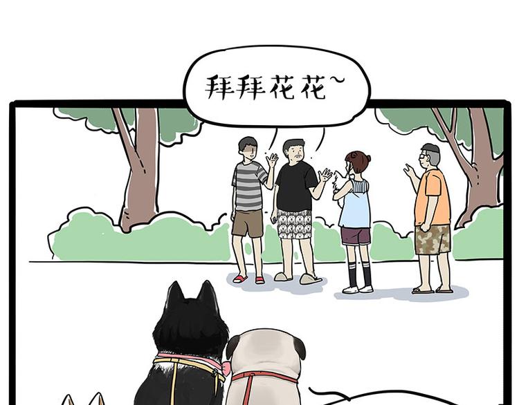 第223话 狗知识增加了12