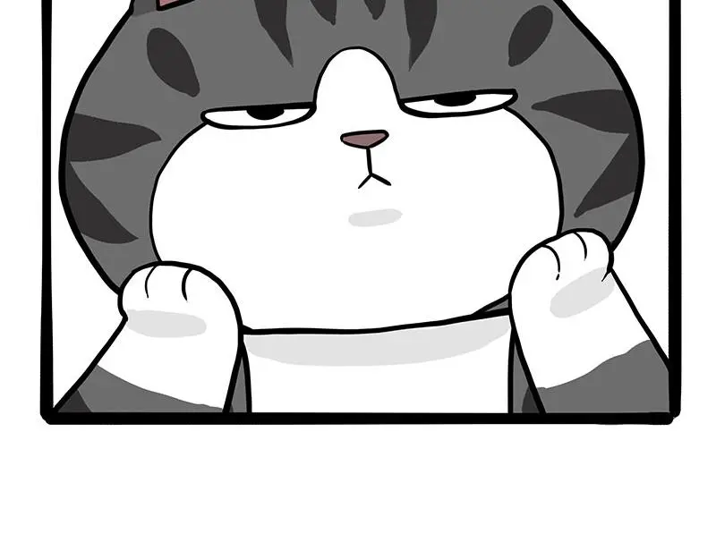第325话 你不守猫德29