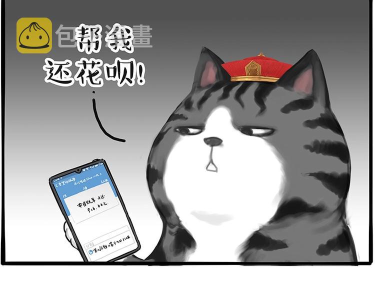 第197话 猫怼狗40