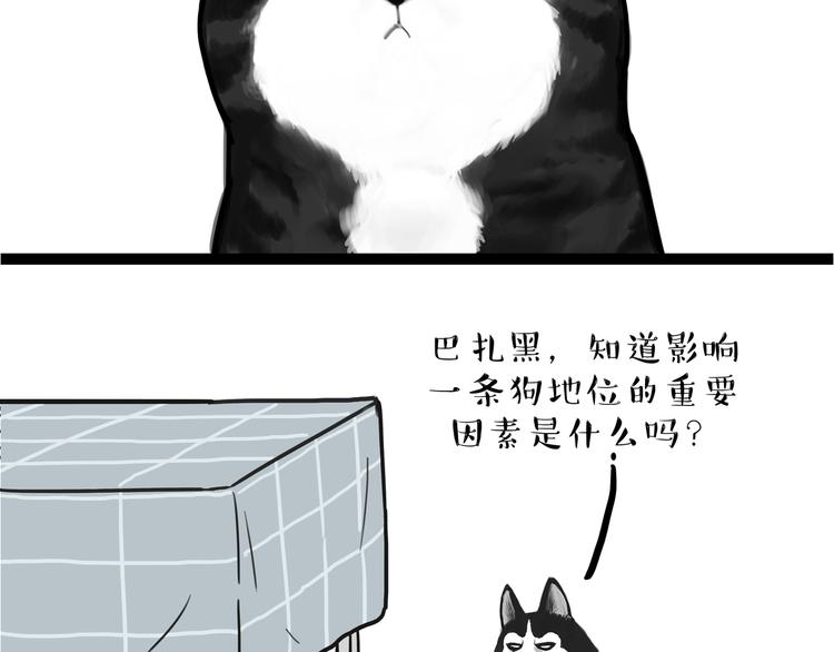 第110话 谁说了算49