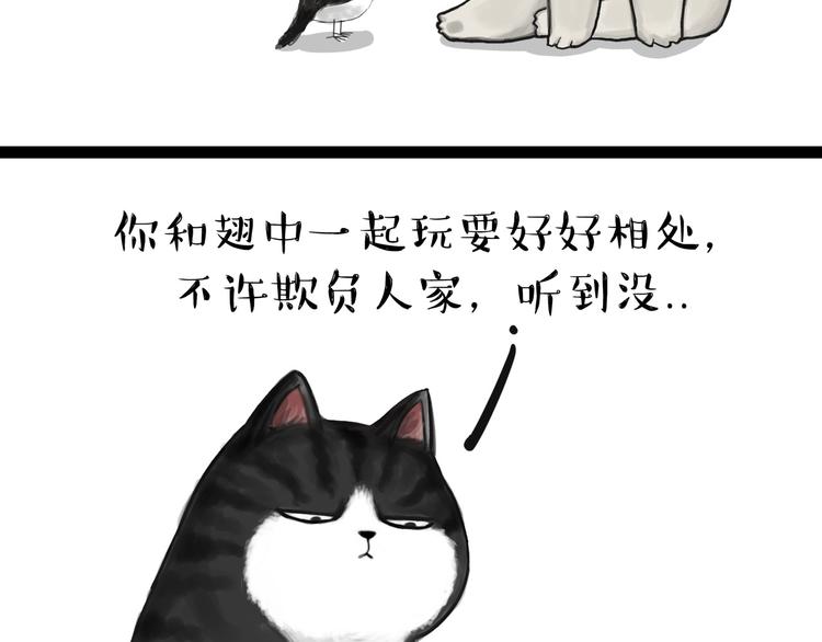 第57话 宠物太粘人是什么体验10