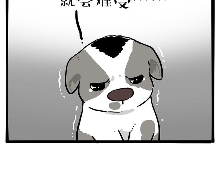 第270话 胖老猫你个大骗子！47