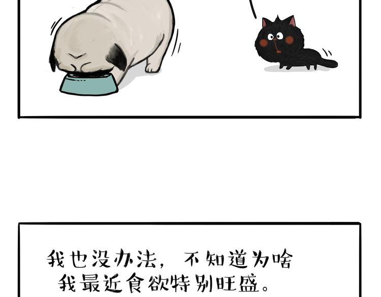 第114话 一只狗23