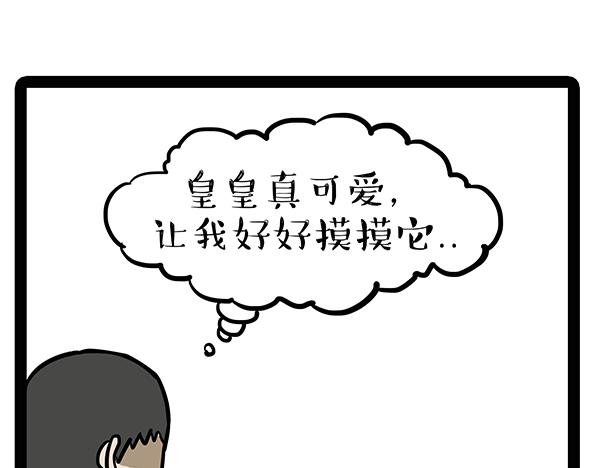 第71话 撸猫神器15
