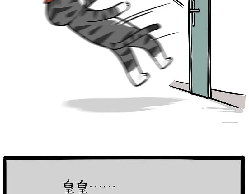第325话 你不守猫德11