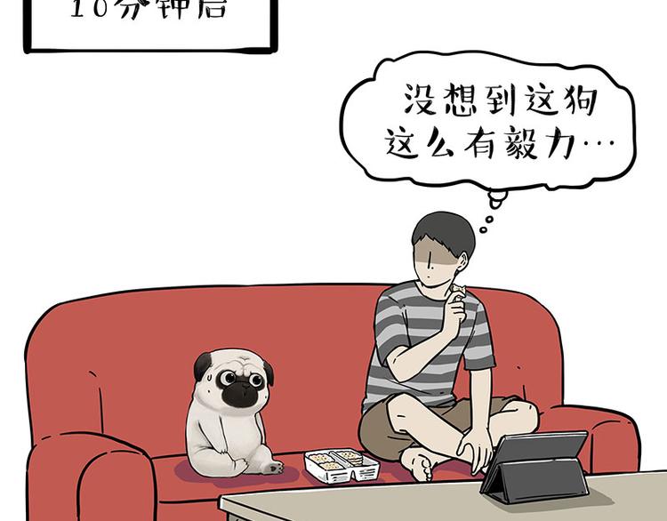 第215话 狗不要了21
