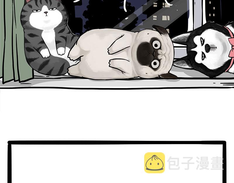第299话 真假虚实32