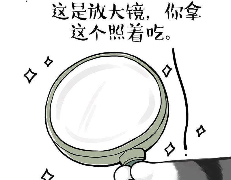 第344话 人生止痛剂4