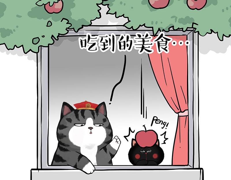 第344话 人生止痛剂41
