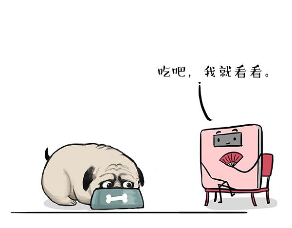 第73话 你才是肥仔嘞17