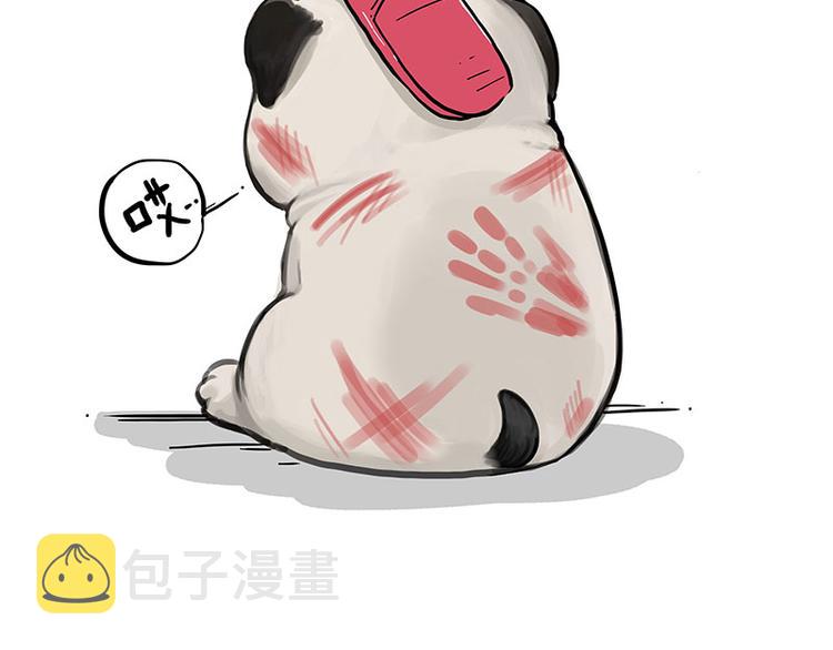 第223话 狗知识增加了50